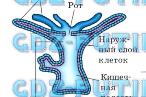 Кракен маркетплейс создатель